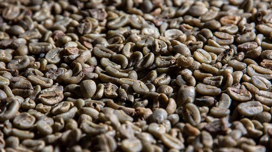 CoffeeB: sustainable from raw material to recycling