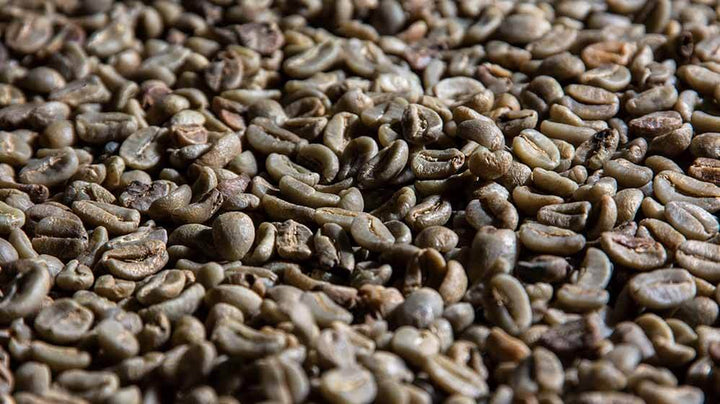 CoffeeB: sustainable from raw material to recycling