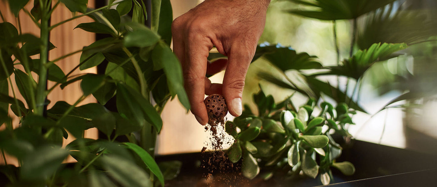 100% compostable.